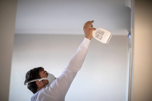 Best Kitchen Mold Remediation in Meeker, OK