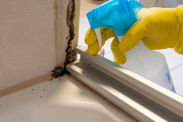 Best Post-Remediation Services in Meeker, OK