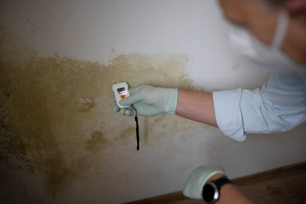Meeker, OK Mold Remediation Company