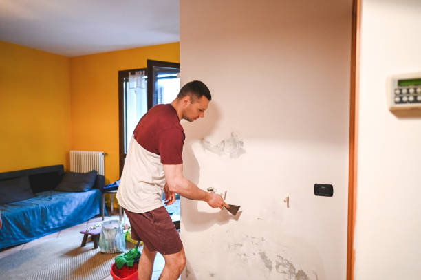 Best DIY Mold Remediation Support Services in Meeker, OK