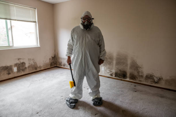 Best Mold Testing and Inspection Services in Meeker, OK